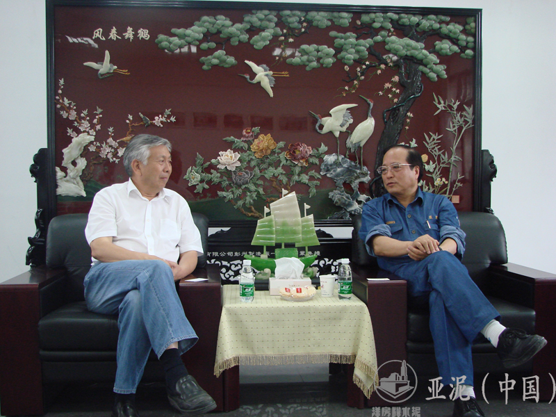 2008年6月21日，中國(guó)水泥協(xié)會(huì)會(huì)長(zhǎng)雷前治視察四川亞?wèn)|