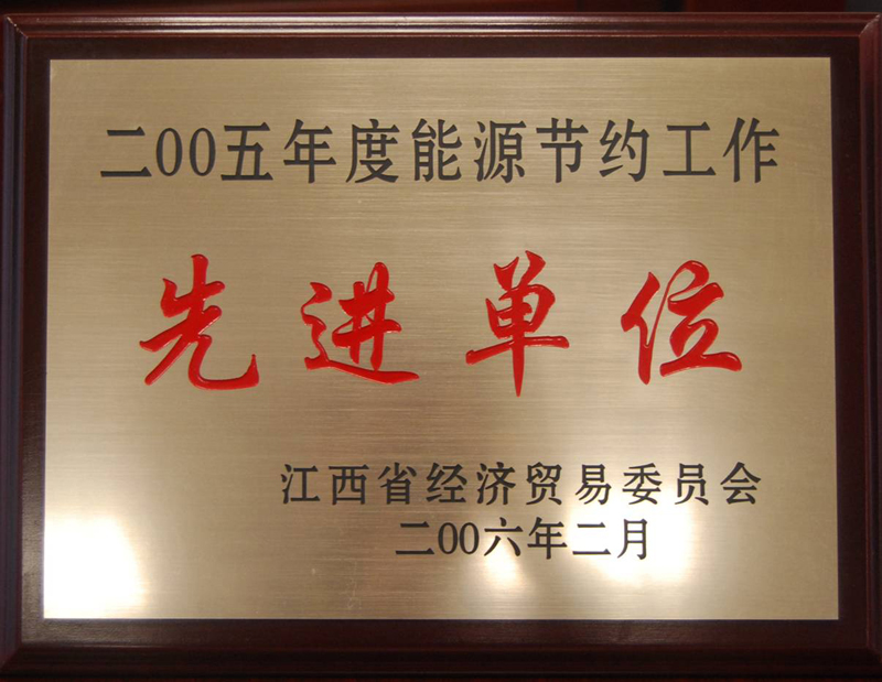 能源節(jié)約工作先進單位（江西亞東）