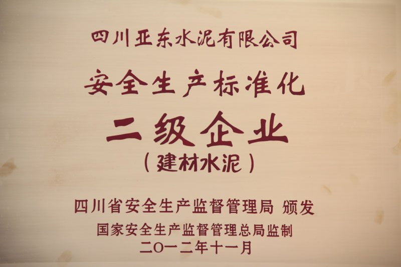 安全生產(chǎn)標(biāo)準(zhǔn)化二級企業(yè)（四川亞東）