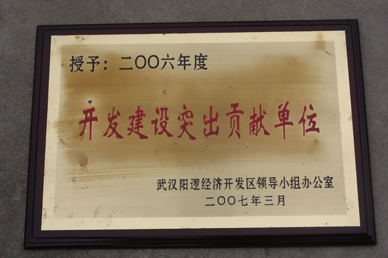 開發(fā)建設突出貢獻單位（湖北亞東）