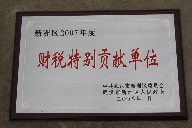 財(cái)稅特別貢獻(xiàn)單位（湖北亞?wèn)|）