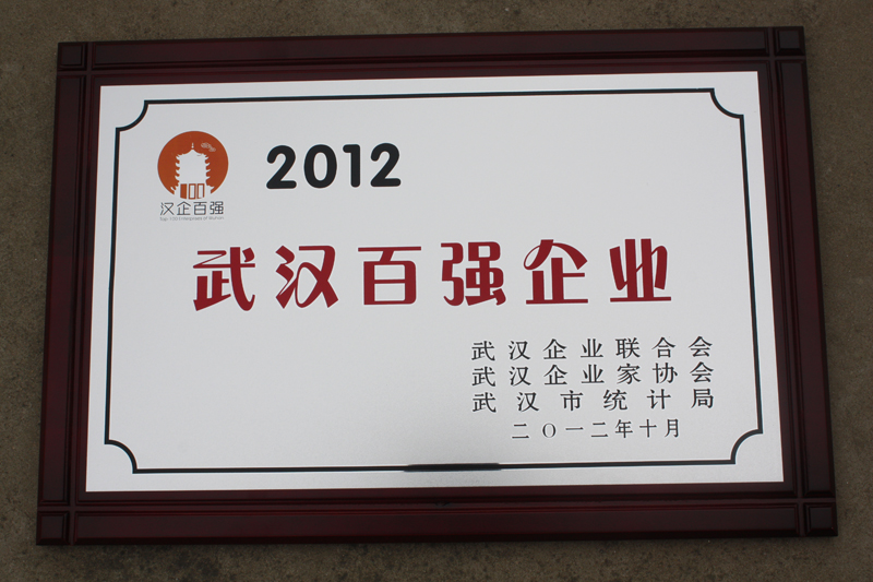 武漢百強(qiáng)企業(yè)（湖北亞東）