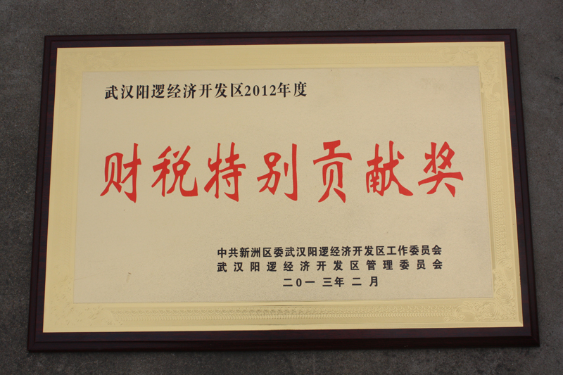 財(cái)稅特別貢獻(xiàn)獎(jiǎng)（湖北亞?wèn)|）
