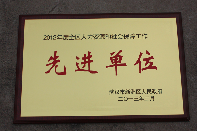 人力資源和社會(huì)保障先進(jìn)單位（湖北亞?wèn)|）