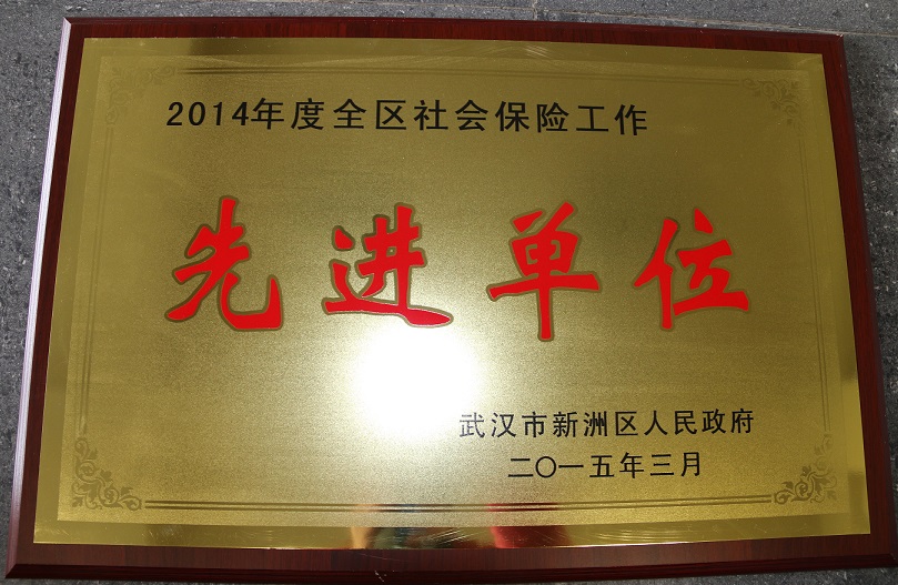 2014年度全區(qū)社會(huì)保險(xiǎn)工作先進(jìn)單位（湖北亞?wèn)|）
