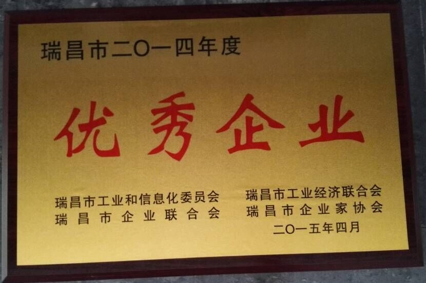 瑞昌市優(yōu)秀企業(yè)獎(jiǎng)（江西亞東）