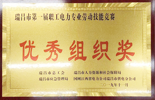 職工電力專業(yè)勞動(dòng)技能競(jìng)賽“優(yōu)秀組織獎(jiǎng)”（江西亞?wèn)|）