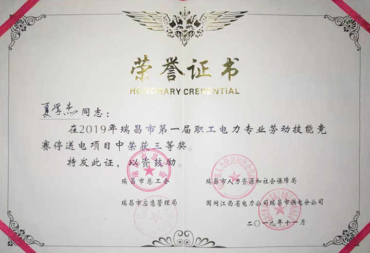 電力專業(yè)勞動(dòng)技能競(jìng)賽“個(gè)人三等獎(jiǎng)”（江西亞?wèn)|）