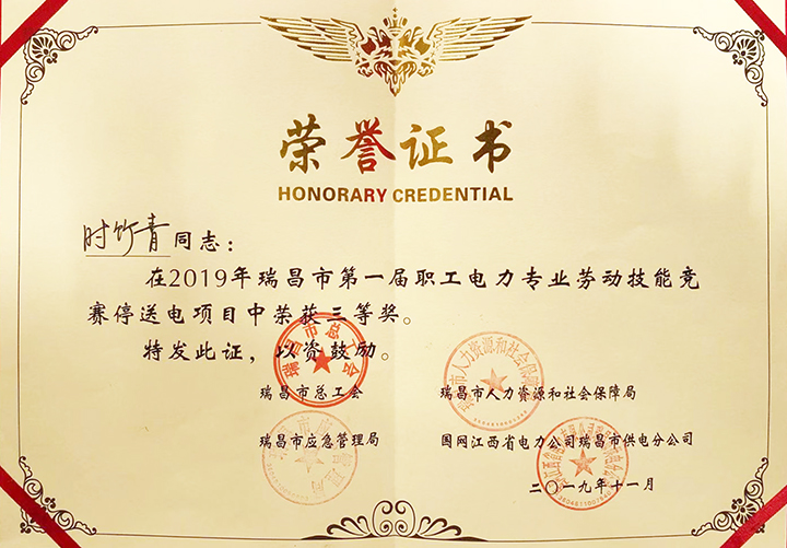 電力專業(yè)勞動(dòng)技能競(jìng)賽“個(gè)人三等獎(jiǎng)”（江西亞?wèn)|）