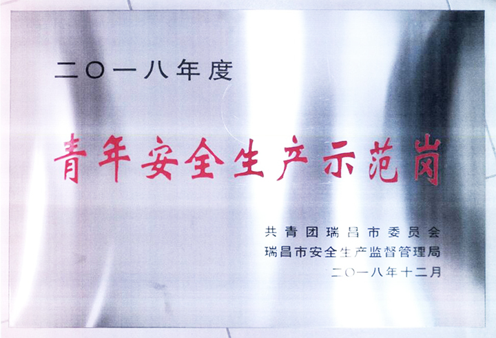 青年安全生產(chǎn)示范崗（江西亞東）