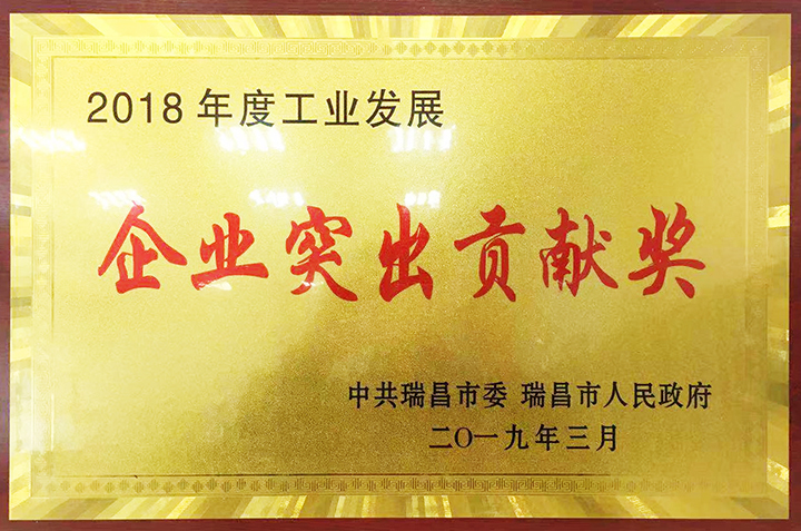 企業(yè)突出貢獻(xiàn)獎（江西亞東）