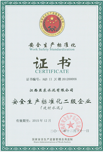 安全生產(chǎn)標(biāo)準(zhǔn)化二級企業(yè)（江西亞東）