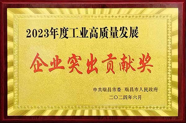 2024年6月24日，瑞昌市召開2023年度全市綜合考核總結(jié)暨通報表揚大會，江西亞東獲頒“2023年度工業(yè)高質(zhì)量發(fā)展企業(yè)突出貢獻獎”。