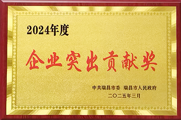 2025年3月10日，瑞昌市召開全市經(jīng)濟高質(zhì)量發(fā)展大會，表彰2024年度先進單位和個人，江西亞東獲頒“2024年度企業(yè)突出貢獻獎”。