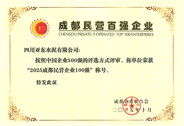 2025年10月28日，四川亞?wèn)|在成都市企業(yè)創(chuàng)新發(fā)展大會(huì)上，榮獲“2025成都民營(yíng)企業(yè)100強(qiáng)”稱(chēng)號(hào)，并獲頒獎(jiǎng)牌。