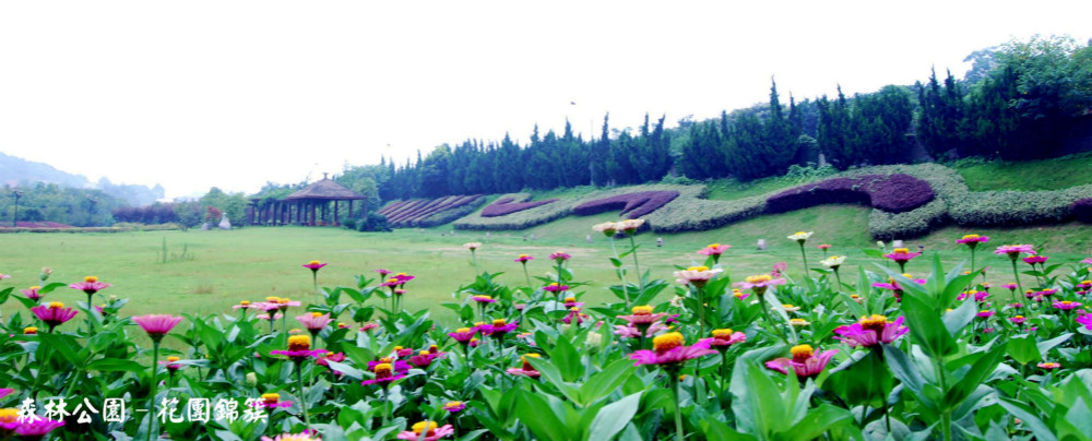 員工風采 員工風采